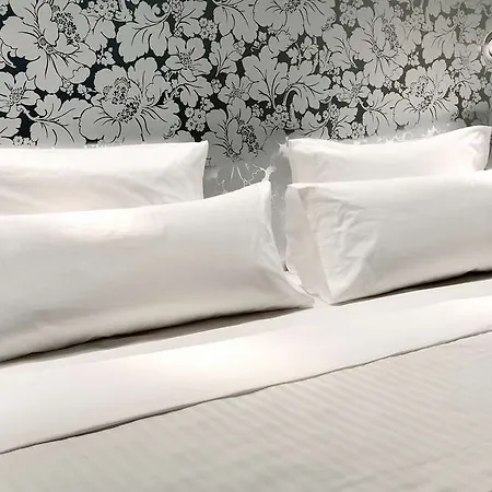 Hotel Barcelo V Centenario 4*